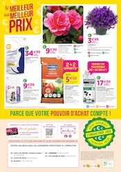 Promos Camélia dans le catalogue "Chez nous les bonnes affaires c'est toute l'année" de Delbard à la page 8