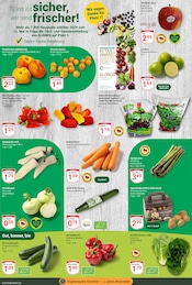 Zucchini im GLOBUS Prospekt in Saarbrücken Aktueller GLOBUS Prospekt mit Zucchini, "Aktuelle Angebote", Seite 6