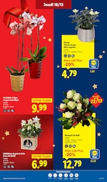 Offre Décoration Extérieure dans le catalogue Lidl du moment à la page 37