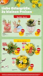 Blumen Angebot & Preis im aktuellen Penny Prospekt Blumen Angebot im aktuellen Penny Prospekt auf Seite 18