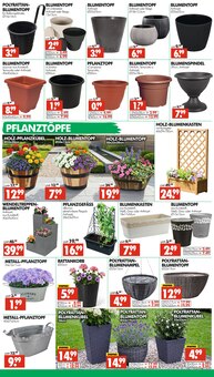 Blumenkasten im Wreesmann Prospekt "DEIN SAISON- & SONDERPOSTENMARKT!" mit 20 Seiten (Dresden)