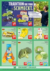 Aktueller Marktkauf Prospekt mit Eier, "AUSWAHL RIESIG, PREISE NIEDRIG", Seite 8