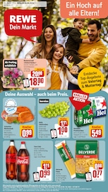 Ähnliche Angebote wie Wild im Prospekt "Dein Markt" auf Seite 1 von REWE in Erlangen