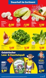 Bücher im Lidl Prospekt in Hof Aktueller Lidl Prospekt mit Bücher, "LIDL LOHNT SICH", Seite 3