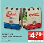 Budweiser Lager Angebote von Budweiser bei Getränke Oase Hamm für 4,79 €