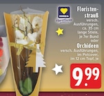 Angebot im EDEKA Detmold Prospekt EDEKA Detmold Prospekt mit im Angebot für 9,99 €