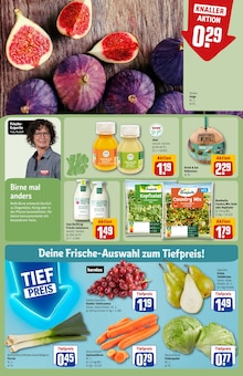 Kräuter im REWE Prospekt "Dein Markt" mit 34 Seiten (Bielefeld)