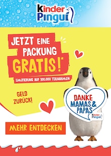 Aktueller kinder Pingui Prospekt "JETZT EINE PACKUNG GRATIS!*" mit 1 Seite