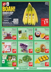 Kiwi im Marktkauf Prospekt in Leipzig Aktueller Marktkauf Prospekt mit Kiwi, "AUSWAHL RIESIG, PREISE NIEDRIG", Seite 10