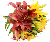 Asiatische Lilien für 4,50 € bei REWE im Angebot Asiatische Lilien im aktuellen REWE Prospekt