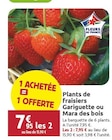 Promo Plants de Fraisiers Gariguette ou Mara des bois à 7,95 € dans le catalogue LaMaison.fr à Alençon