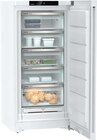 FNa 6635-20 Gefrierschrank im Angebot bei EURONICS in Dresden FNa 6635-20 Gefrierschrank Angebote von Liebherr bei EURONICS Dresden für 1.599,00 €