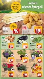 Blumen im REWE Prospekt in Wilhelmshaven Aktueller REWE Prospekt mit Blumen, "Dein Markt", Seite 5