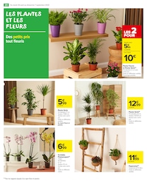 Prix et réduction Orchidée dans le prospectus Carrefour Market en cours Offre Orchidée dans le catalogue Carrefour Market du moment à la page 22