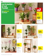 Orchidée Angebote im Prospekt "les Jours Meilleurs avec Les Produits Carrefour" von Carrefour Market auf Seite 22