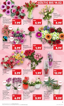 Blumentopf im Kaufland Prospekt "Aktuelle Angebote" mit 63 Seiten (Leipzig)