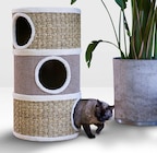 REWE Hargesheim - Kratztonne »Lotta«³ Angebot im Prospekt Kratztonne »Lotta«³ bei REWE im Hargesheim Prospekt für 49,99 €