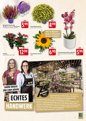 Aktueller E center Prospekt mit Pflanzen, "Aktuelle Angebote", Seite 15