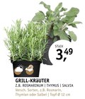 GRILL-KRÄUTER im Angebot bei ROSENGUT Langerwisch in Potsdam GRILL-KRÄUTER Angebote bei ROSENGUT Langerwisch Potsdam für 3,49 €