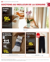 Orchidée Angebote im Prospekt "LE MOIS À VOS MARQUES, PRÊTS, PARTEZ !" von Carrefour Orchidée Angebote im Prospekt "LE MOIS À VOS MARQUES, PRÊTS, PARTEZ !" von Carrefour auf Seite 104