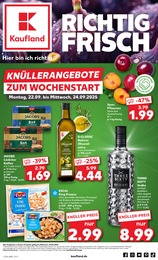 Kaufland Prospekt für Eisenberg mit 54 Seiten Kaufland Prospekt für Eisenberg: "KNÜLLER", 54 Seiten, 22.09.2025 - 24.09.2025