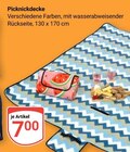 Picknickdecke im Angebot bei GLOBUS in Gotha Picknickdecke Angebote bei GLOBUS Gotha für 7,00 €