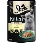 Zookauf - Sheba Portionsbeutel Kitten mit Huhn in Sauce 85 g Angebot im Prospekt Sheba Portionsbeutel Kitten mit Huhn in Sauce 85 g bei Zookauf im Prospekt "" für 0,55 €