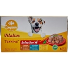 Terrines pour chiens - CARREFOUR COMPANINO VITALIVE dans le catalogue Carrefour
