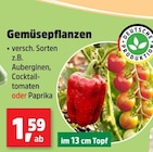 Thomas Philipps Wuppertal - Gemüsepflanzen Angebot im Prospekt Gemüsepflanzen bei Thomas Philipps im Wuppertal Prospekt für 1,59 €