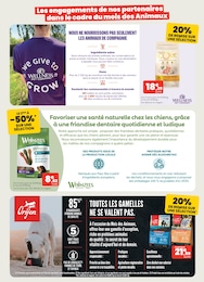 Offre Croquettes chat adulte dans le catalogue Animalis du moment à la page 6
