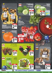 Aktueller EDEKA Prospekt mit Tomaten, "Wir lieben Lebensmittel!", Seite 11