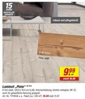 Laminat 'Pinie' im Angebot bei toom Baumarkt in Homburg Laminat 'Pinie' Angebote bei toom Baumarkt Homburg für 19,89 €