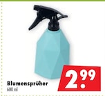 Mäc-Geiz Potsdam Prospekt mit  im Angebot für 2,99 €