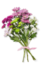 Kaufland - Chrysanthemen-Mix Angebot im Prospekt Chrysanthemen-Mix bei Kaufland im Prospekt "" für 3,49 €