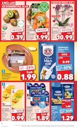 Kaufland Kiwi im Prospekt 