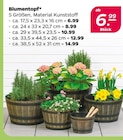 Blumentopf im aktuellen Netto mit dem Scottie Prospekt