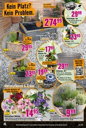 Mixer im Hornbach Prospekt in Rüsselsheim Aktueller Hornbach Prospekt mit Mixer, "Dein Wille verlegt Deine Terrasse.", Seite 10