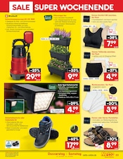 Schuhe im Netto Marken-Discount Prospekt in Wolfenbüttel Aktueller Netto Marken-Discount Prospekt mit Schuhe, "Aktuelle Angebote", Seite 53