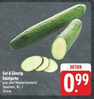 Salatgurke bei EDEKA im Prospekt "" für 0,99 €