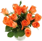 Penny Rostock - Rosen Angebot im Prospekt Rosen bei Penny im Rostock Prospekt für 1,99 €