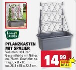 Aktuelles Pflanzkasten mit Spalier Angebot bei E center in Reutlingen ab 14,99 €