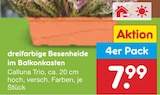 dreifarbige Besenheide im Balkonkasten Angebot in Ortrand dreifarbige Besenheide im Balkonkasten im aktuellen Prospekt bei Netto Marken-Discount in Ortrand