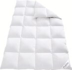 Aktuelle Bettdecke Angebote bei Lidl in Mainz Aktuelles Premium Daunen-Kassettenbettdecke Angebot bei Lidl in Mainz ab 99,99 €