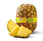 Ananas im Penny Prospekt Ananas von Marktliebe im aktuellen Penny Prospekt für 1,49 €