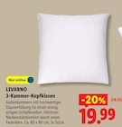 Aktuelle Matratze Angebote bei Lidl in Bergisch Gladbach Aktuelles 3-Kammer-Kopfkissen Angebot bei Lidl in Bergisch Gladbach ab 19,99 €