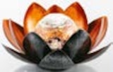 LED-Solar-Dekoleuchte Lotus von Flector für 19,99 € bei Hellweg im Angebot LED-Solar-Dekoleuchte Lotus von Flector im aktuellen Hellweg Prospekt