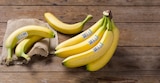 Bio Bananen Angebote von REWE Bio bei REWE München für 1,79 €