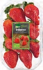 Erdbeeren im Angebot bei EDEKA in Stade Erdbeeren Angebote von Edeka bei EDEKA Stade für 2,99 €