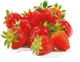 Aktuelles Erdbeeren Angebot bei Netto mit dem Scottie in Berlin ab 1,99 €