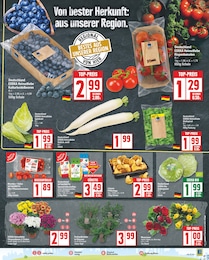 Pflanzen Angebot im aktuellen EDEKA Prospekt auf Seite 3